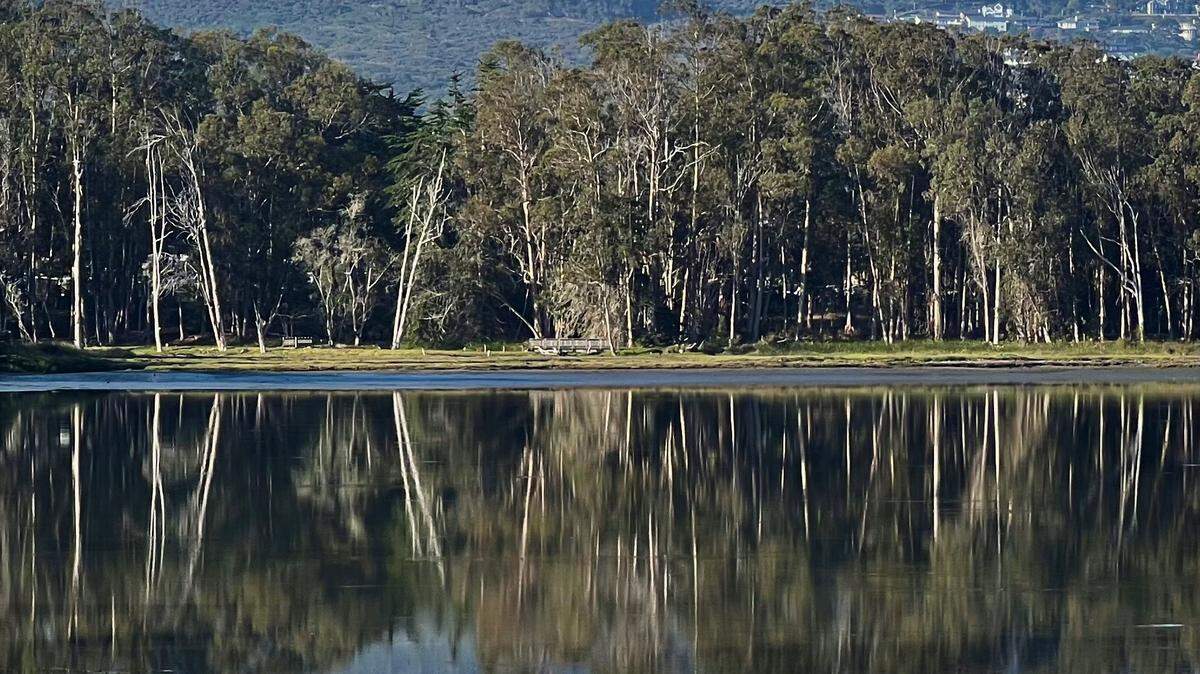 A calm and reflective morning near the Baywood Park pier in Morro Bay, California