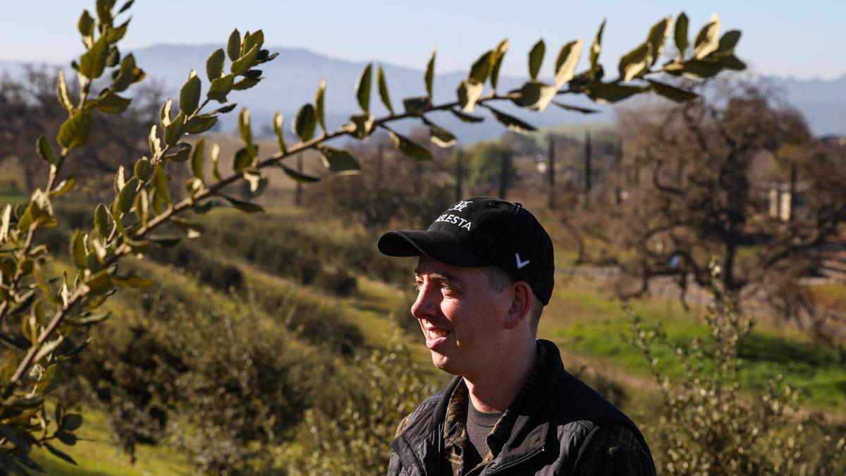 Brian Farrell, winemaker at Caelesta Wines and Vineyard in Templeton, grows black truffles in his orchard of holly oak trees.