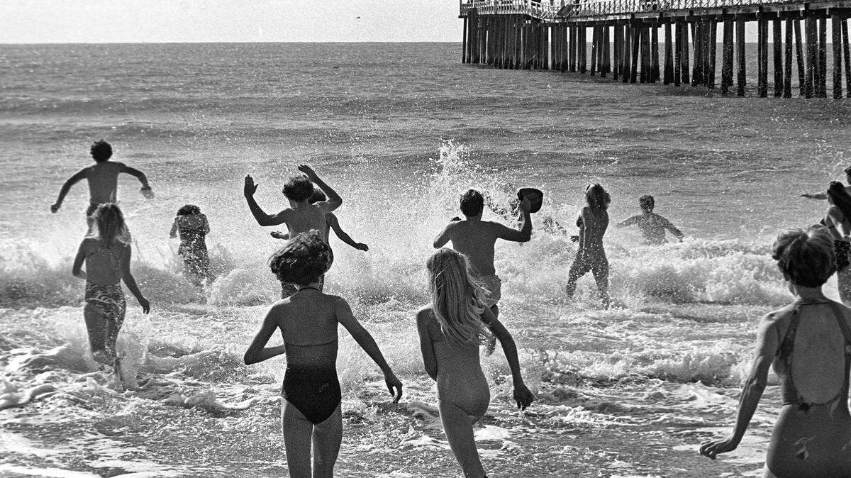 The second annual Polar Bear Dip drew about 55 people, along with a handful of spectators on the pier.
