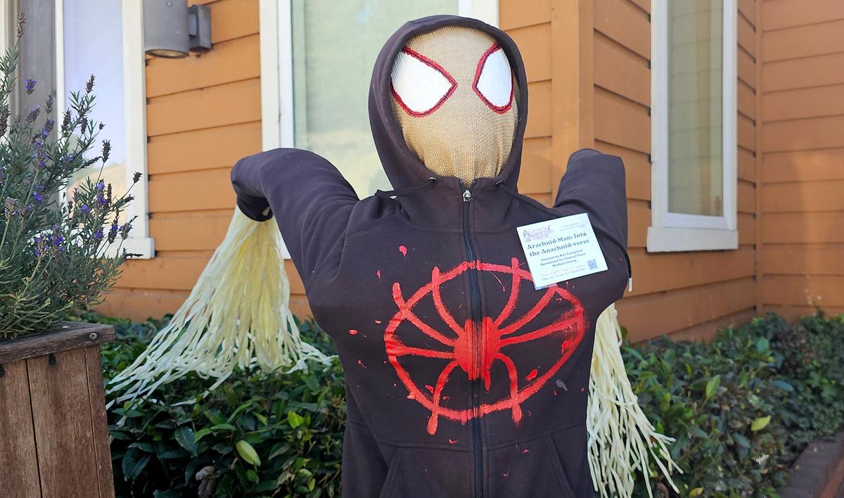 Cambria’s Scarecrow Festival is back. It runs the entire month of October. “Arachnid-man: into the Anachnid-verse” created by Kat Estopinal.