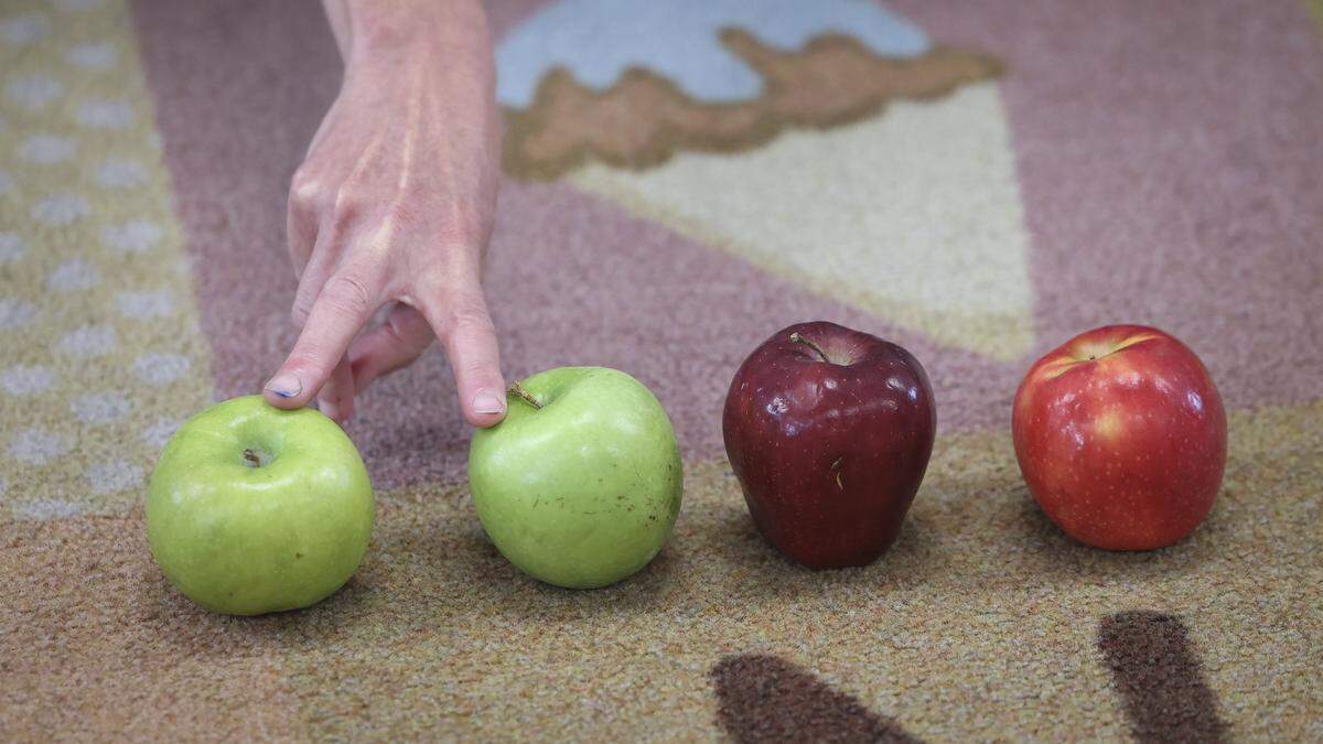 Teacher Fiona Lloyd-Moffett leads her transitional kindergarten students in play-based lessons that teach academic and social skills tailored to their age. Here, apples are added, sorted and subtracted while singing on Sept. 18, 2025.