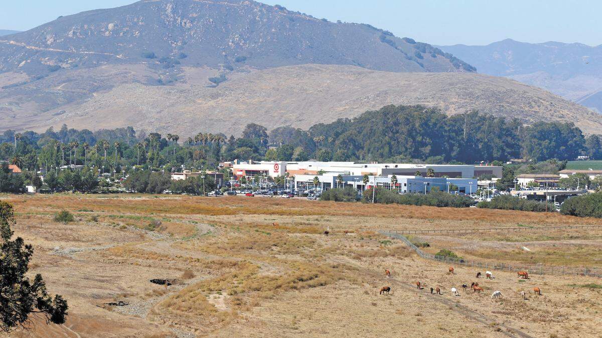 Horses currently pasture on the former Froom Ranch, with auto dealerships and a shopping center seen in the background, on Los Osos Valley Road.