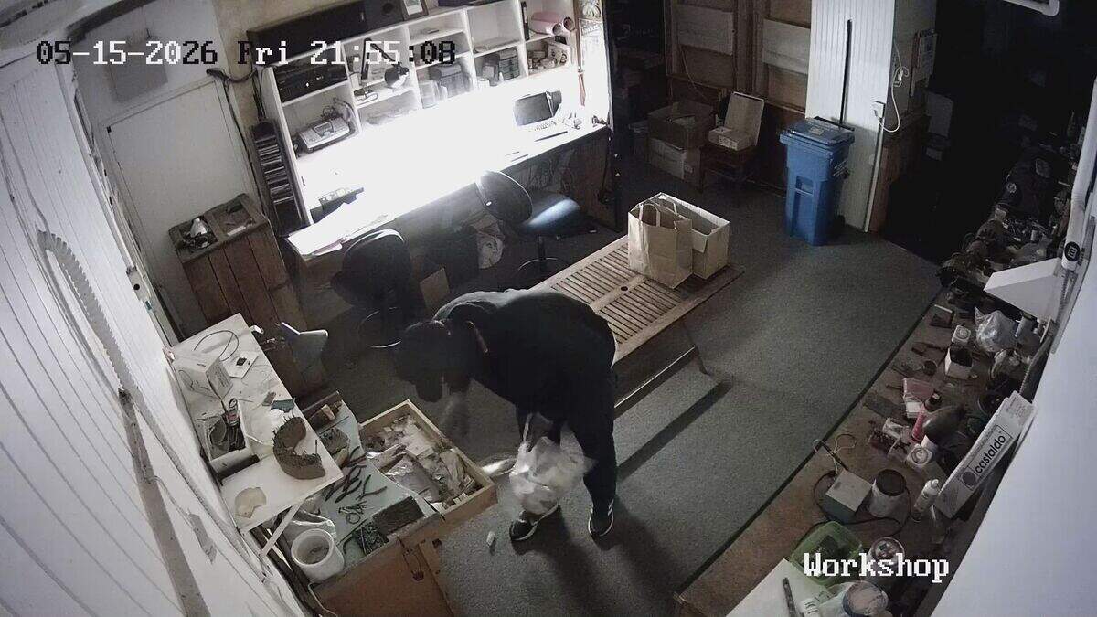 A masked individual stole from McLean Jewelry in Cayucos on May 15, 2026, security footage showed.