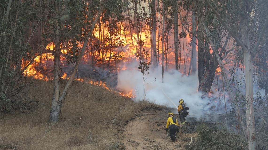 Update: Vegetation fire in Arroyo Grande prompts road closure, power shutoff