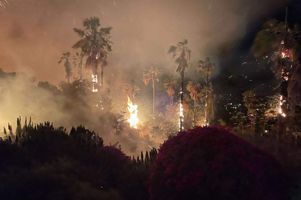 Wind-whipped flames set fire to palm trees and other vegetation on TV Hill in Santa Barbara.