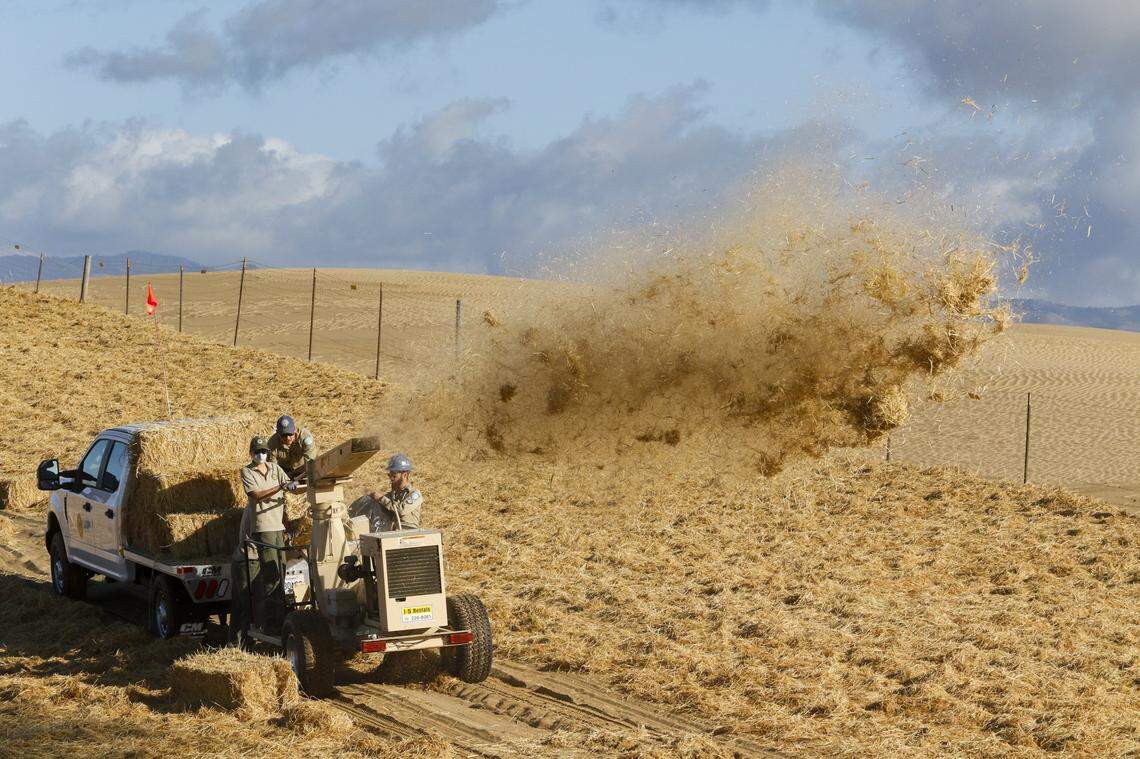 Crews shoot straw as part of revegetation work in December 2017 on about 20 acres closed to riders at the Oceano Dunes State Vehicle Recreation Area. More closures are expected if a plan to reduce air pollution from the park is enacted.