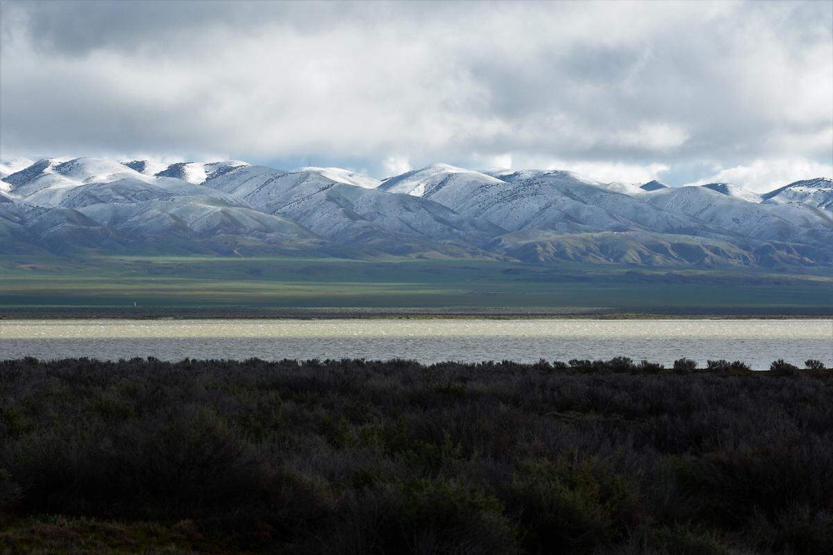 The Carrizo Plains have been transformed by winter rains and snow, bringing new life and colors.