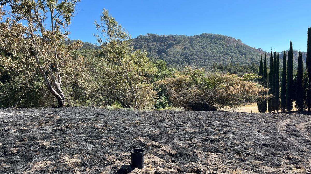A fire started on June 28, 2022, on the side of Huasna and Mary Hall roads in Arroyo Grande, according to Cal Fire Capt. Adan Orozco.