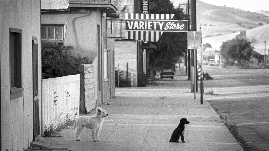 It was common to see dogs waiting for owners on the sidewalks of San Miguel, CA on Sept. 19, 1980.