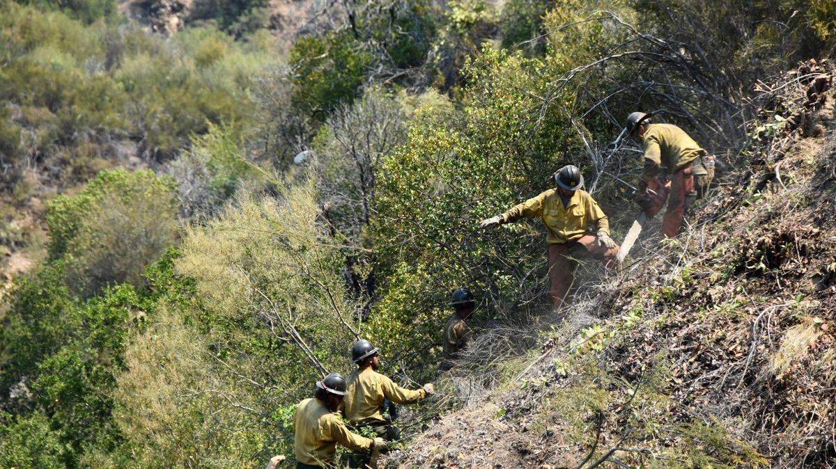 Firefighters work in steep terrain to build fuel breaks around the Willow Fire in the Los Padres National Forest in Monterey County.