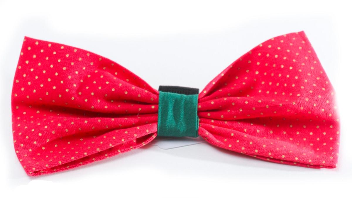 A handsome bow time from Tails in downtown San Luis Obispo