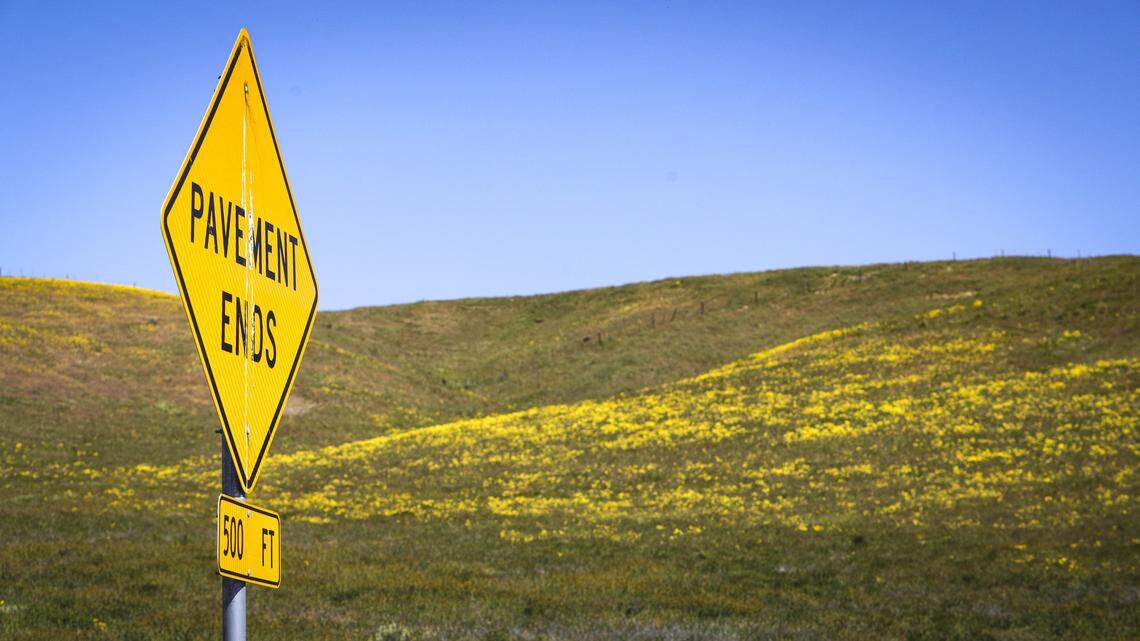 Much of the Carrizo Plain is unpaved. Soda Lake road is good for all types of vehicles but it is reccomended to pay heed to signs warning of damaged or wet roads. Wildflower season is in full bloom on the Carrizo Plain seen here on March 11, 2026.