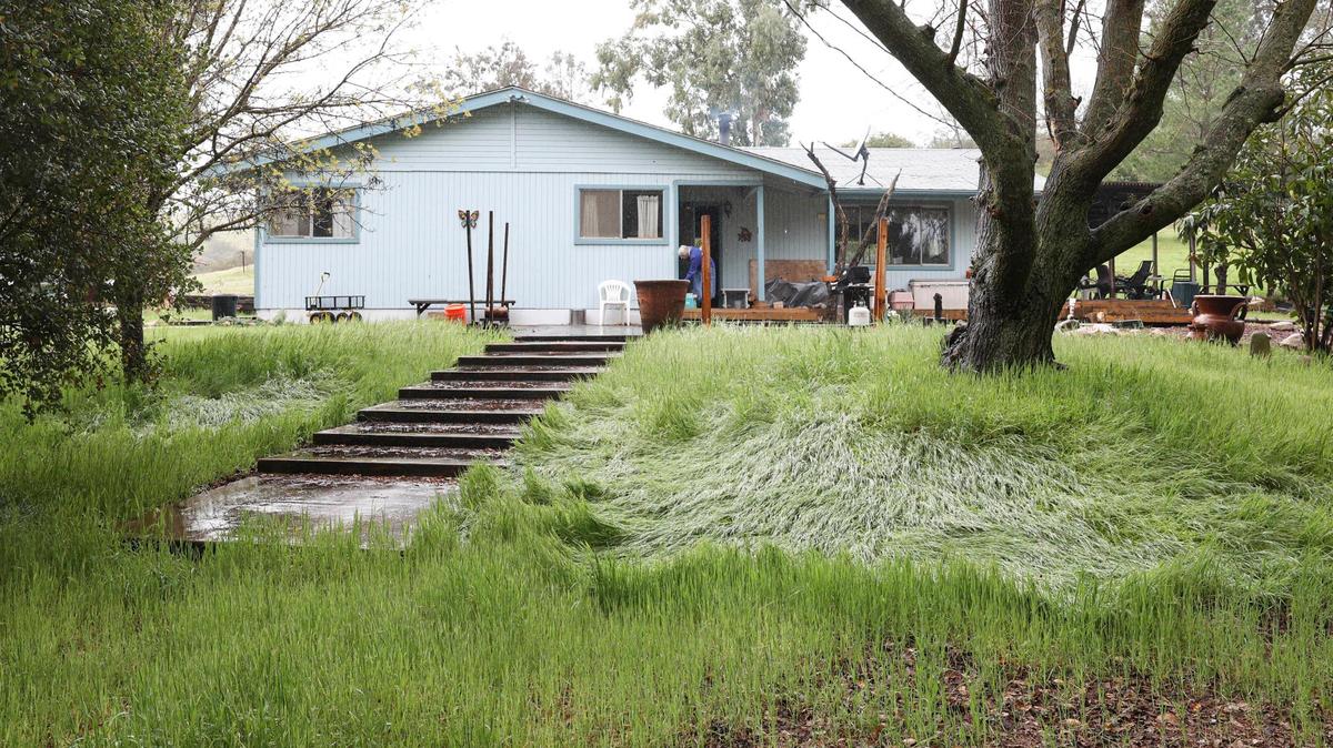 The grass at Carol Rowland’s Creston area home is green during the winter but quickly browns when rain stops. Rowland struggles with sinking water levels in the well at her home, seen here on March 14, 2025.