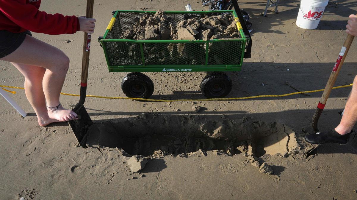 Cal Poly students Dustin Hendrix, left, and Jacob Hinshaw dig a trench to measure the number and size of Pismo clams burrowed in the sand on May 29, 2025.