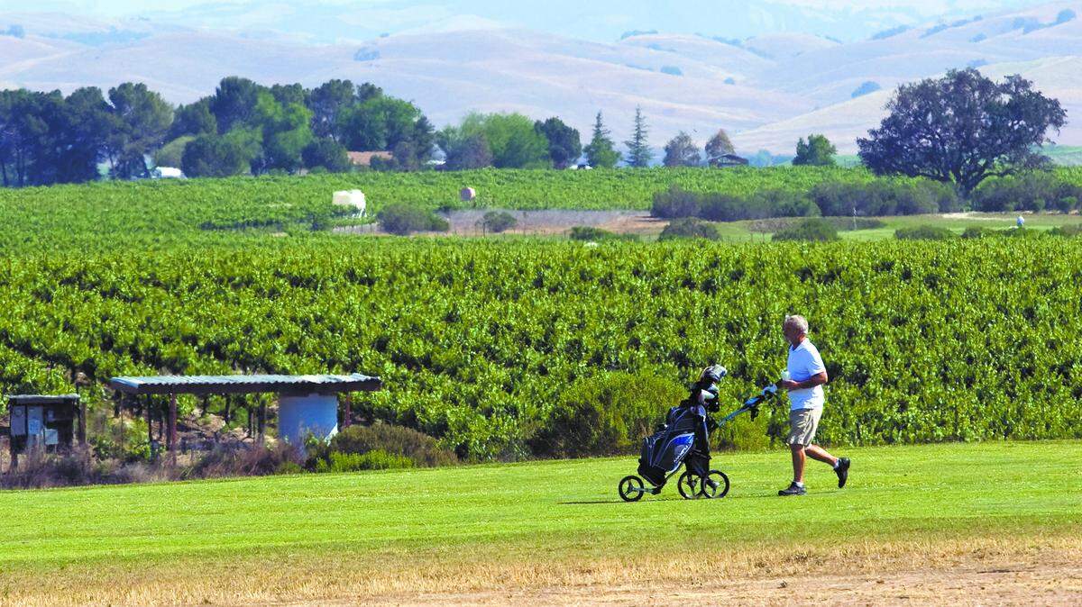 Tim Teller plays Paso Robles’ Links golf course, which is adjacent to wine-grape vineyards, creating a scene of green irrigated grass and vines surrounded by brown hillsides in 2013.