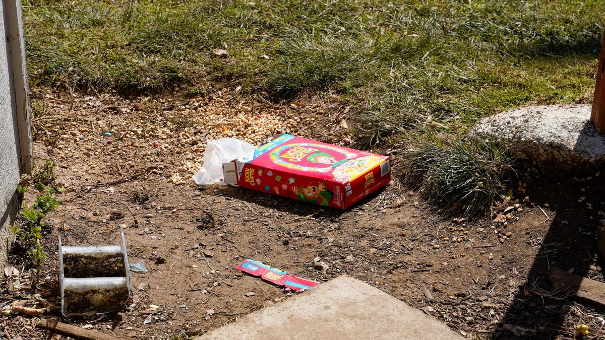 St. Fratty’s Day partiers caused serious damage to roofs, gutters, furniture, fences and landscaping while leaving trash in the neighborhood around Hathway Avenue in San Luis Obispo, seen here on March 18, 2024. As many as 6,000 to 7,000 people attended the weekend party.