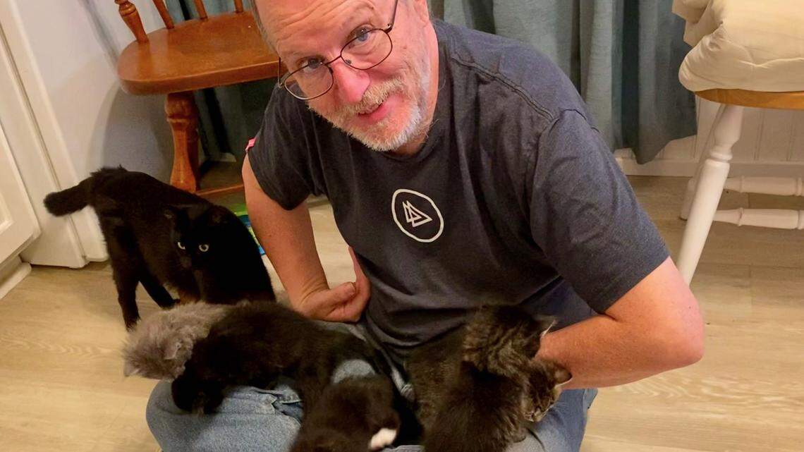 Love cuddly kittens? These SLO County groups are looking for foster families