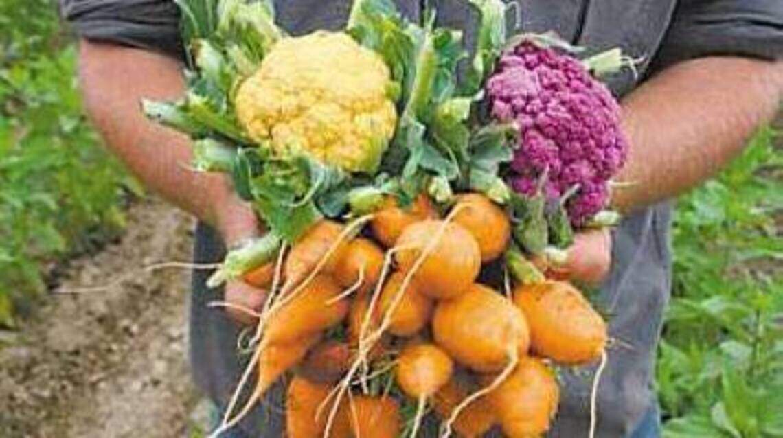 Shake off winter doldrums by prepping for leafy greens and vegetables