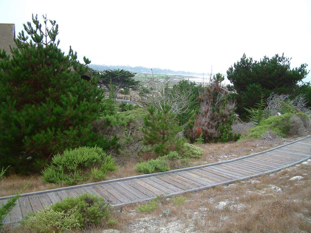 A boardwalk near the Asilomar Hotel and Conference Grounds in Pacific Grove, photographed in 2003 near Monterey, lures walkers who love ocean views.
