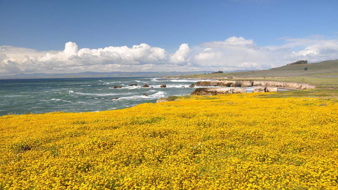 Warmer weather is expected along the Central Coast this week.