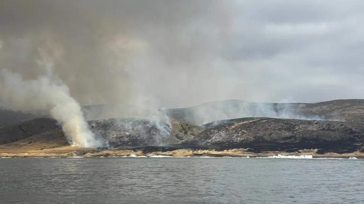 A fire on Santa Rosa Island hit 1,000 acres Friday afternoon.