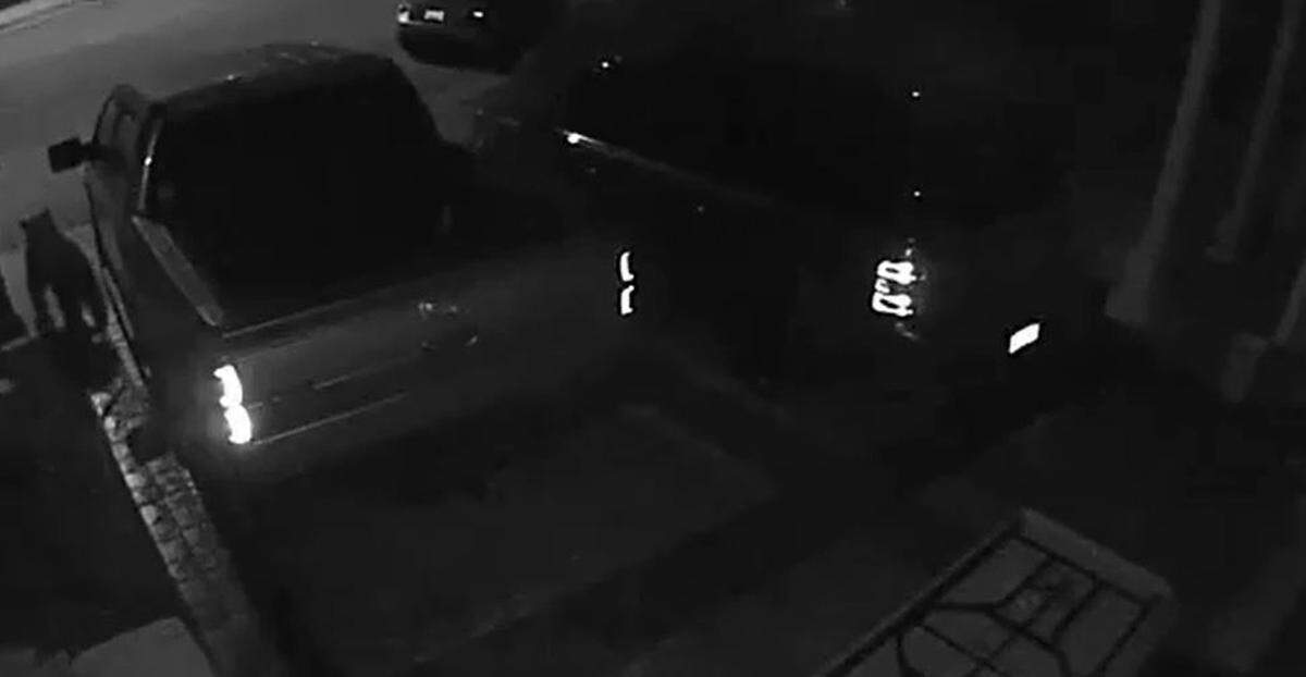 A 2-year-old black bear seen prowling around Billy Gallant's driveway on Kenton Court in Paso Robles. The bear recently turned up on several neighborhood residents' motion-activated cameras.