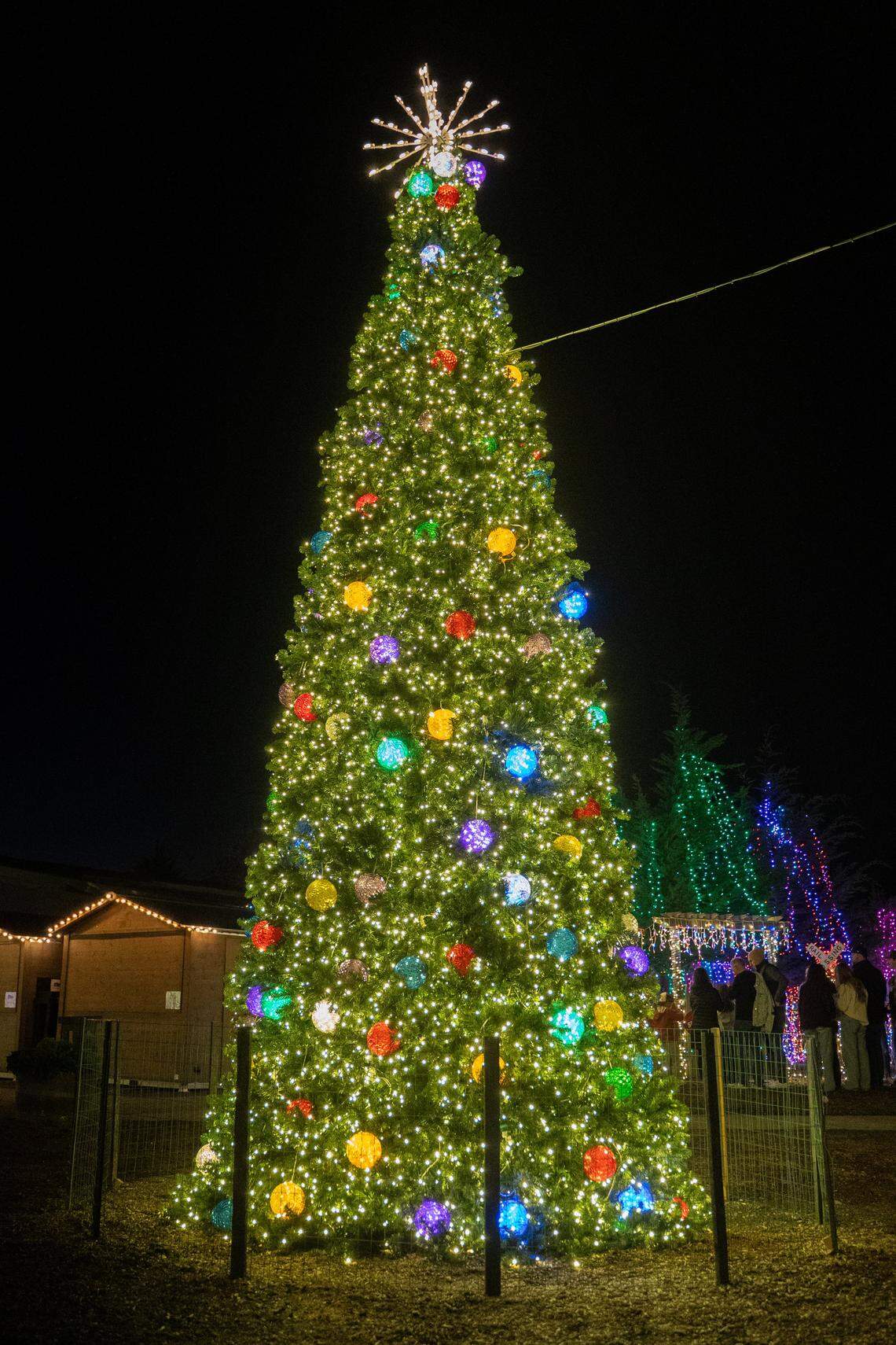 The Christmas tree at the Cambria Christmas Market on Friday, Nov. 21, 2025. The annual Christmas market will open its doors on Nov. 29, 2025.