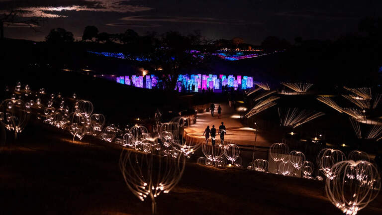 Sensorio to celebrate 1 million guests with bigger exhibits, special sweepstakes