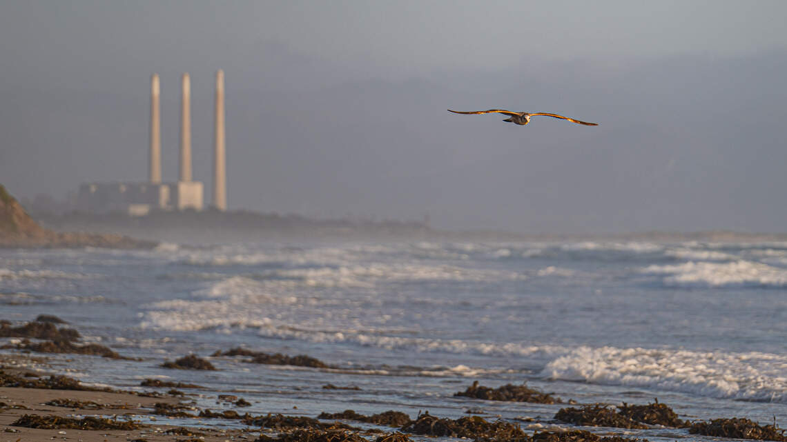 Expect classic springtime weather this week. See the SLO County forecast
