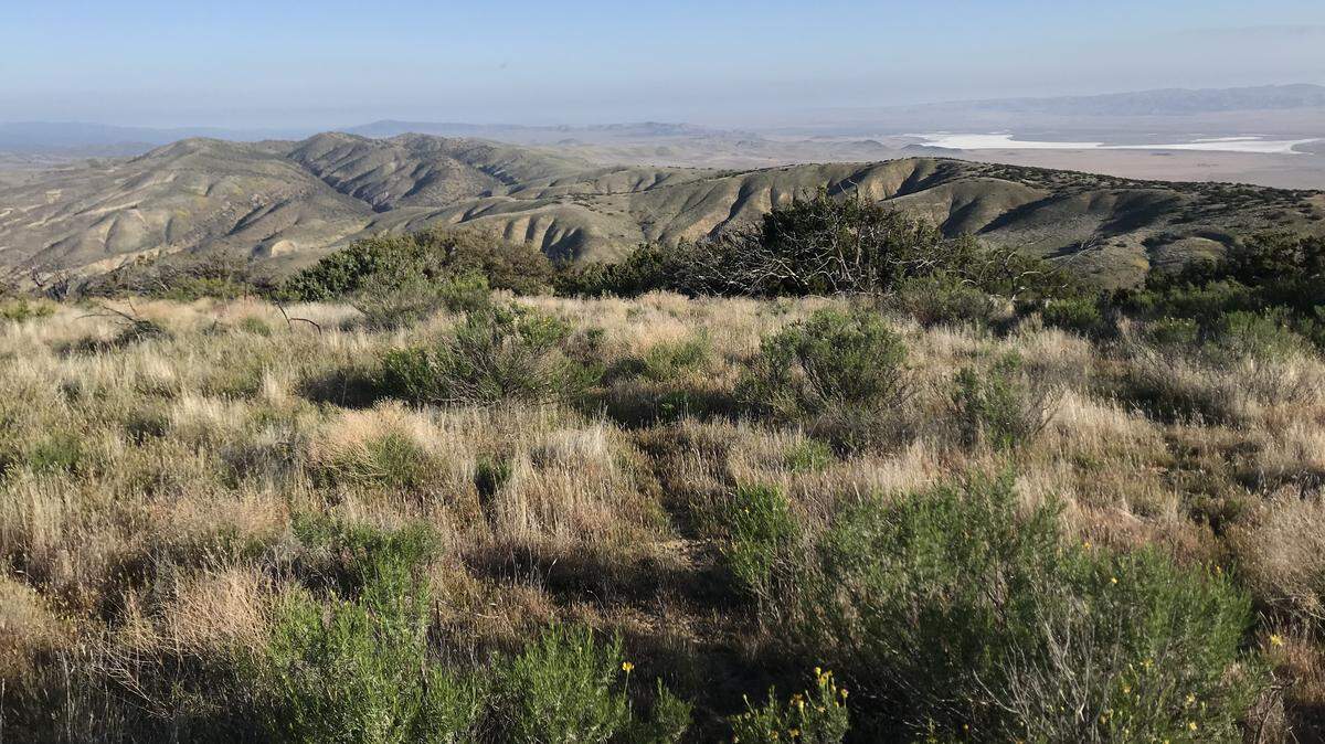 Near Caliente Mountain above Selby Campground in the Carrizo Plain National Monument.