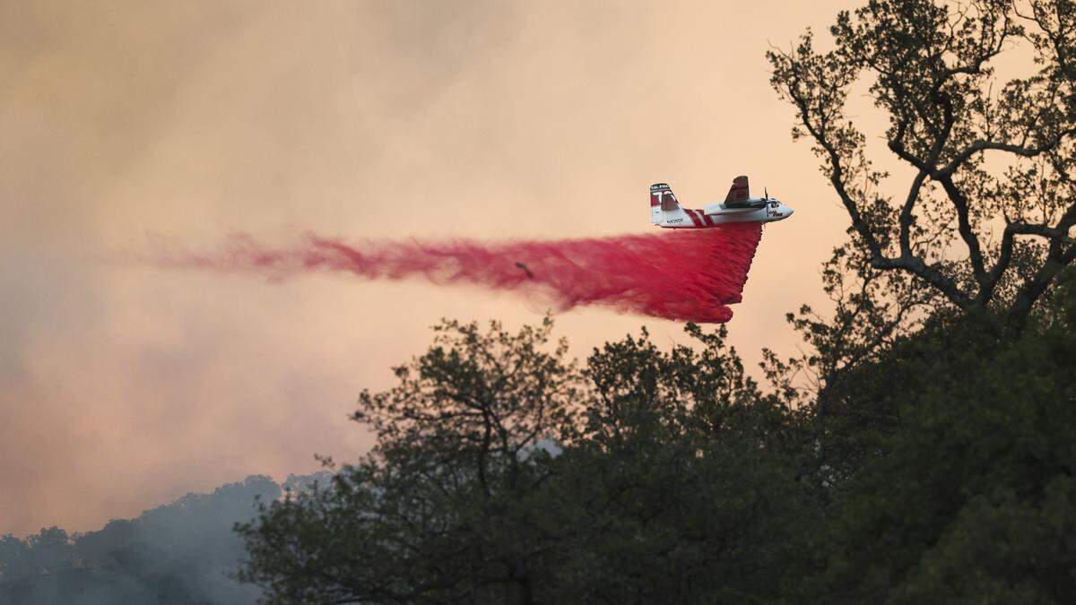 Firfighting drop just above the treetops in the steep Cuyama River drainage. The Gifford Fire burned an estimated 5,000 acres on both sides of Highway 166 east of Highway 101 on August 1, 2025.