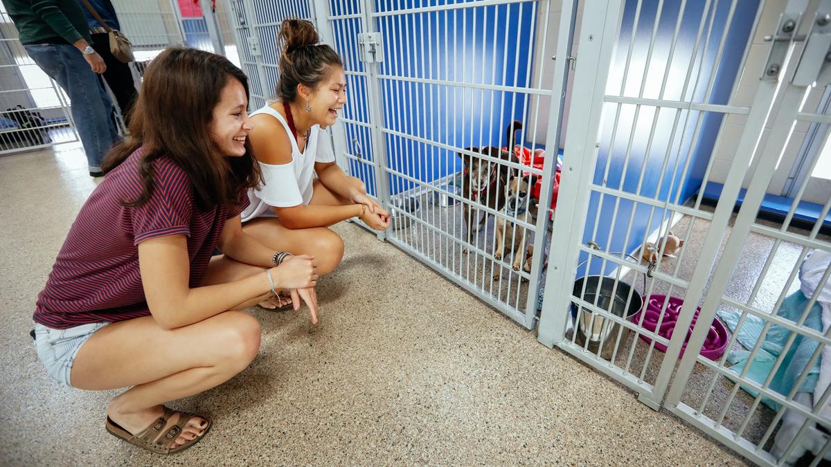 Cal Poly students Shaina Morris, left, and Alyssa Lemieux visit with a pair of recently adopted dogs at The Woods Humane Society in San Luis Obispo during its Black Friday Adopt-a-Thon in 2018.
