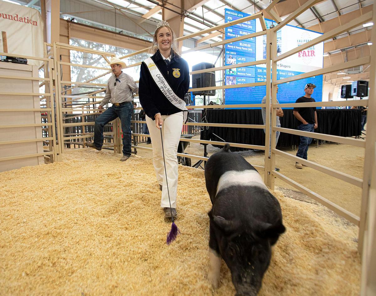 Mid-State Fair Princess Jenna Shapero shows her hog at the Junior Livestock Auction on Saturday July 30, 2022.