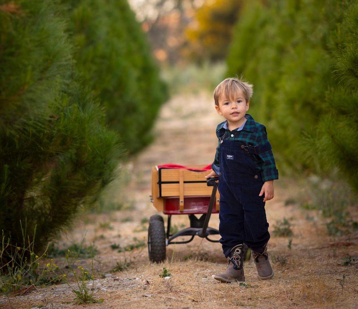 Salinas River Ranch  lets visitors cut down their own Pine or Cypress trees or choose from various pre-cut options from Oregon.