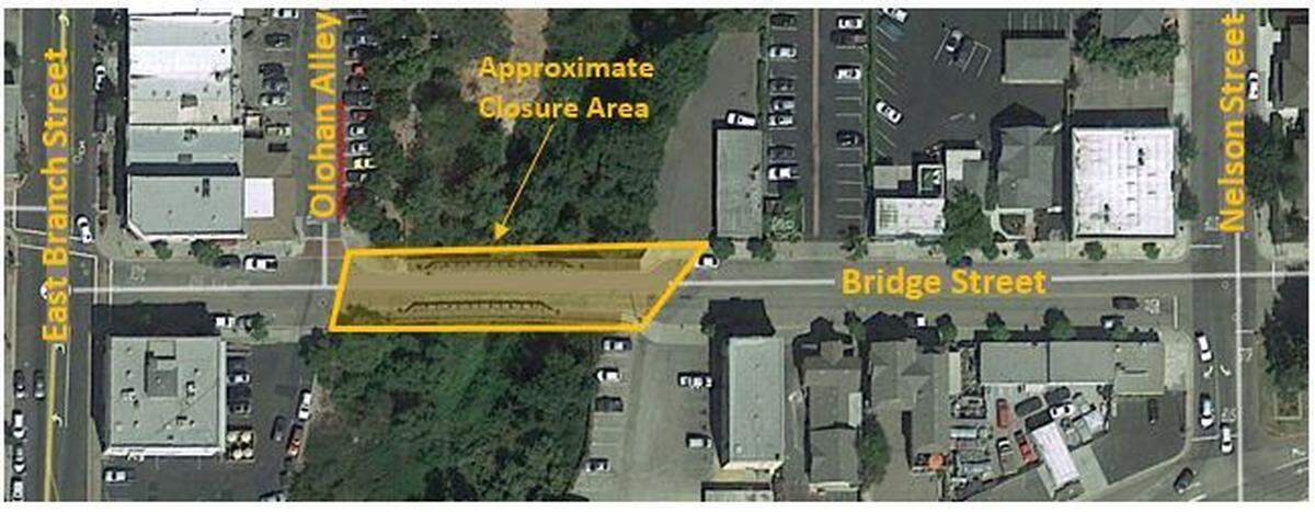 The Bridge Street Bridge will temporarily close in January for tree-trimming in advance of its rehabilitation project.