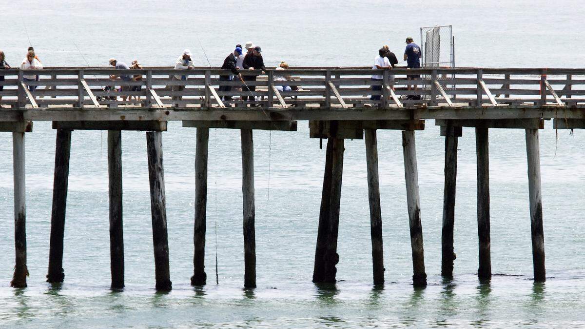 The Cayucos Pier is missing pilings and needs repair. The deferred maintenance has resulted in a partial closure. Each bent, or grouping was built with a minimum of three pilings. At right only one holds up its section.
David Middlecamp
7-5-2013