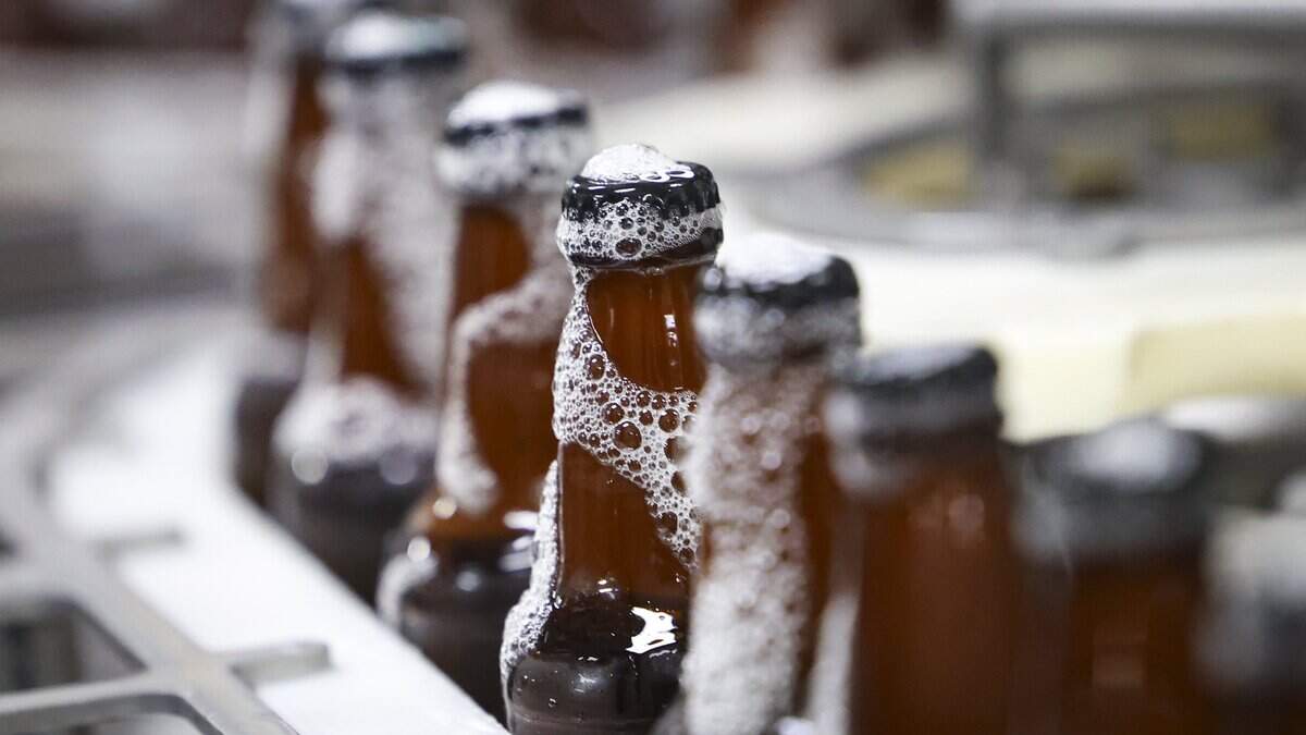 The flagship 805 beer is bottled at the Firestone Walker brewery in Paso Robles, seen here on April 14, 2026.