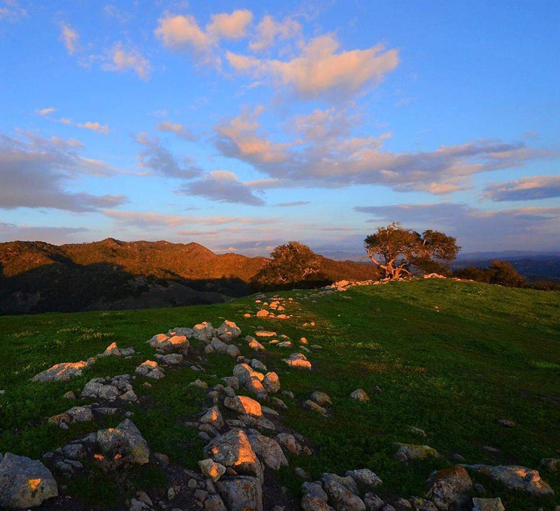 PG&E meteorologist John Lindsey took this photo of green grass on the Diablo Canyon Lands near Point San Luis Lighthouse in Avila Beach.