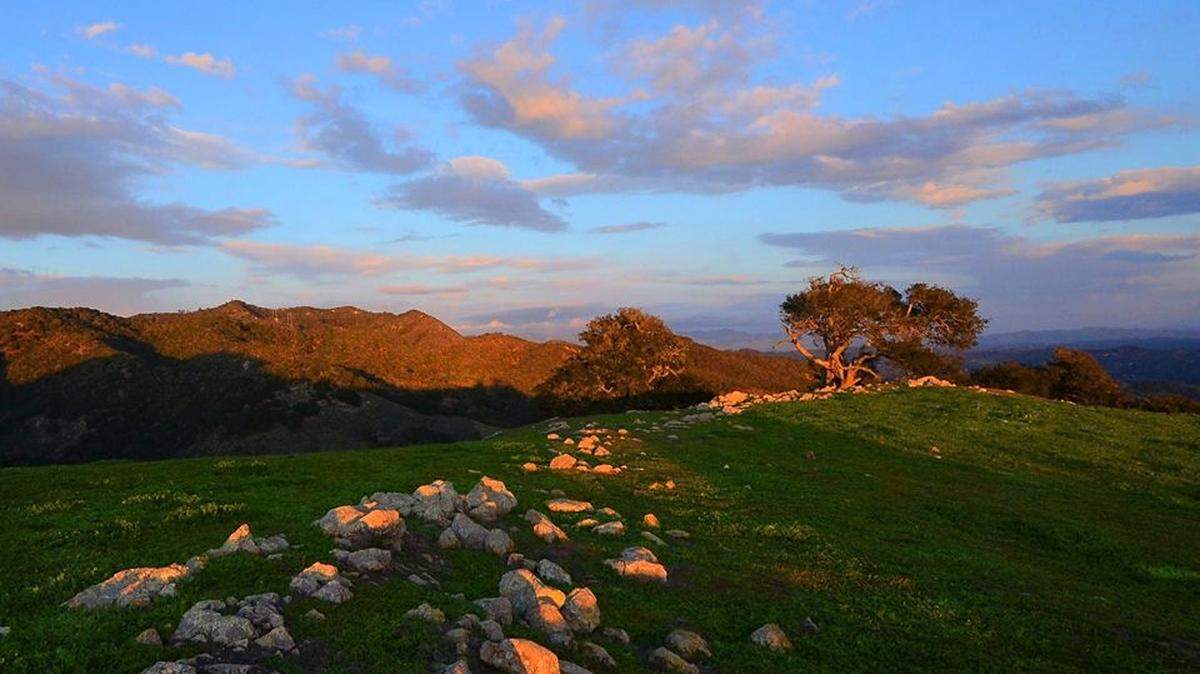 PG&E meteorologist John Lindsey took this photo of green grass on the Diablo Canyon Lands near Point San Luis Lighthouse in Avila Beach.