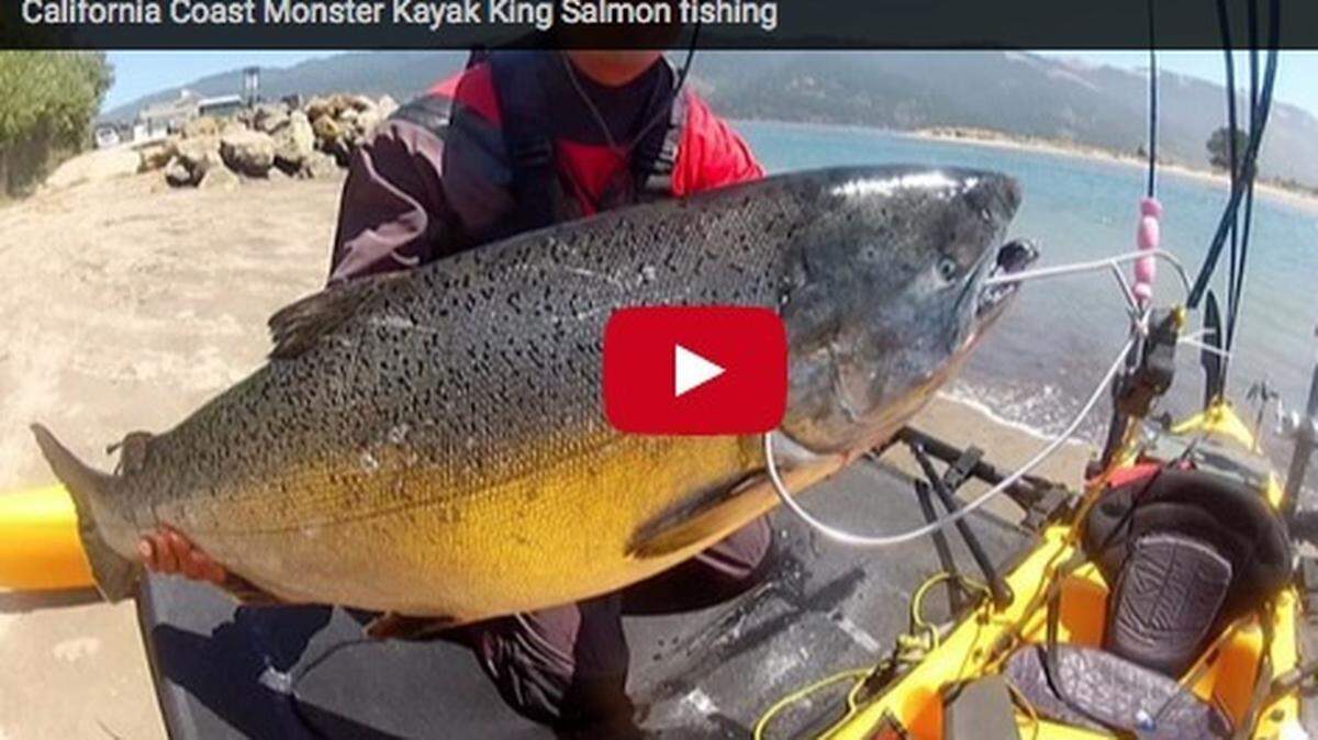 California angler Jae Chang holds up a 33.5 -pound king salmon he caught from his sea kayak.