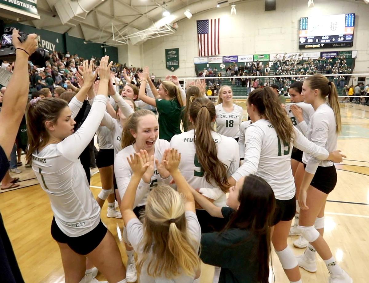 The Cal Poly volleyball team celebrates after sweeping rival UCSB at Mott Athletics Center in San Luis Obispo in November.