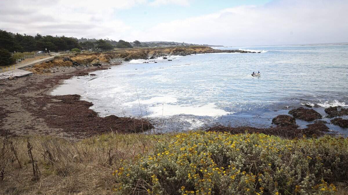 Fishermen depart Leffingwell Landing in Cambria, CA on June 18, 2026.