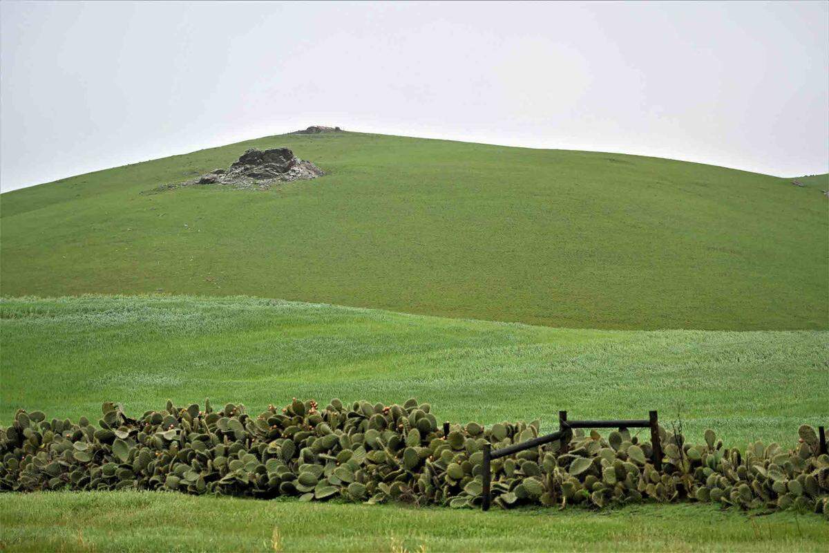 Rainy weather near Whale Rock Reservoir.