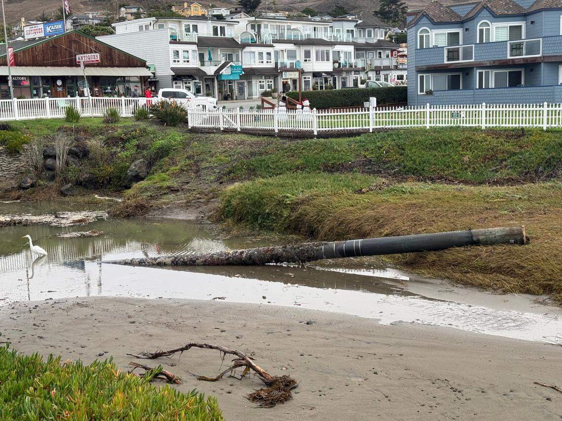 Cayucos resident Danna Dykstra-Coy witnessed the piling breaking off the pier Monday and later found it in the Little Cayucos Creek next to Shoreline Inn, the same spot a piling ended up at after five broke off in heavy storms in February, 2024.
