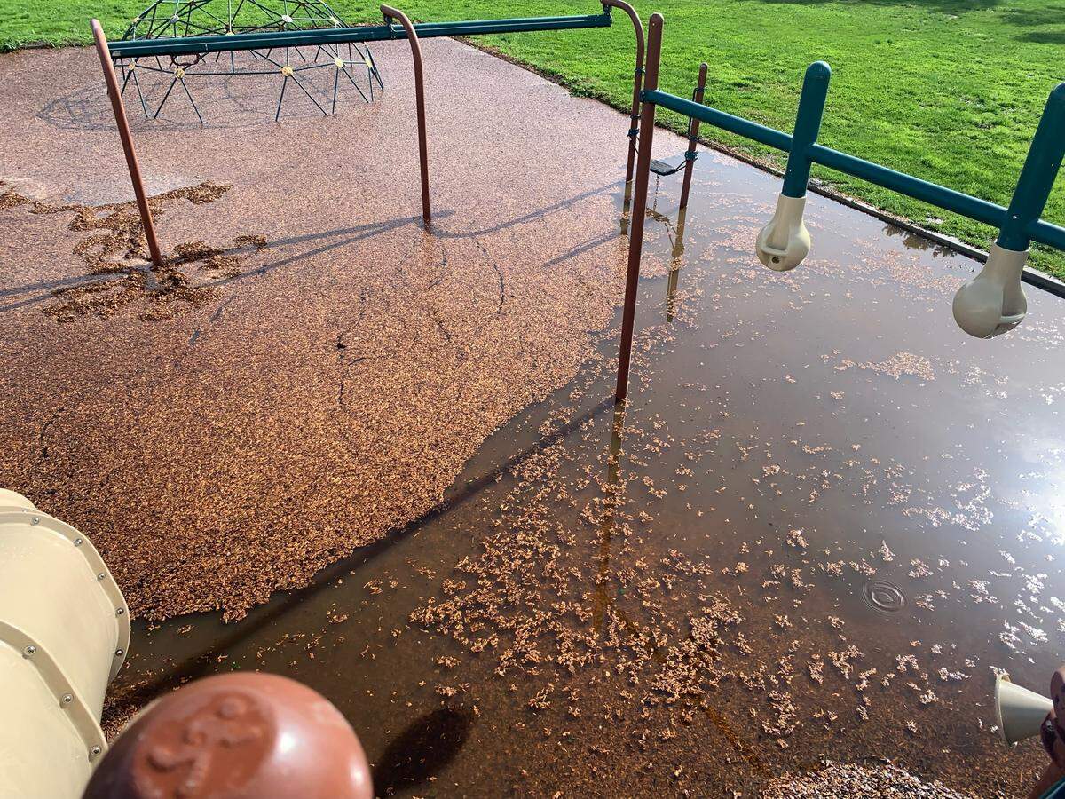 The playground at Bellevue-Santa Fe Charter School near Avila Beach is flooded on Tuesday, Jan. 10, 2023.