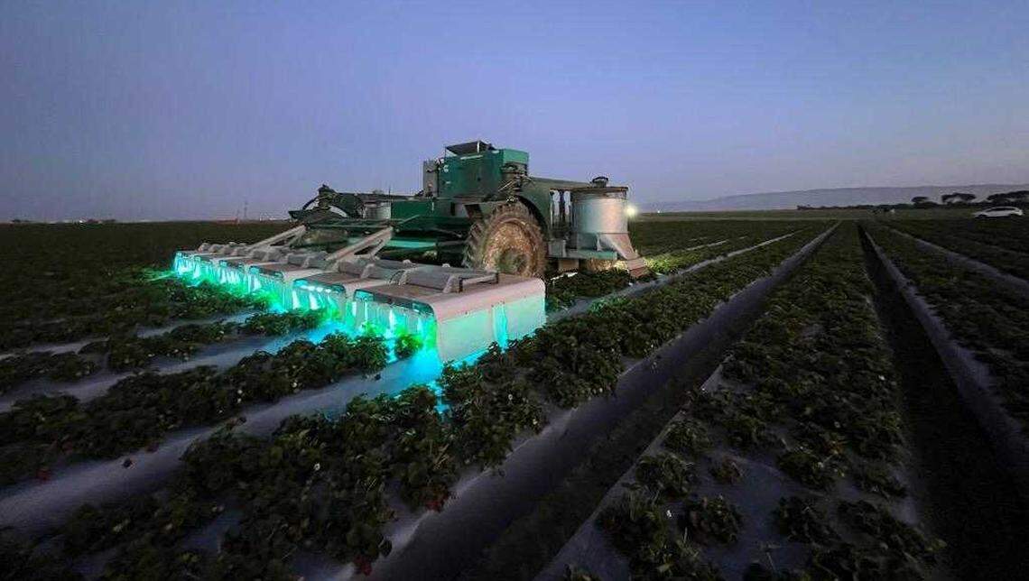 Tric Robotics is based in San Luis Obispo County and is working with farmers to use ultraviolet light to replace chemical pesticides on crops.