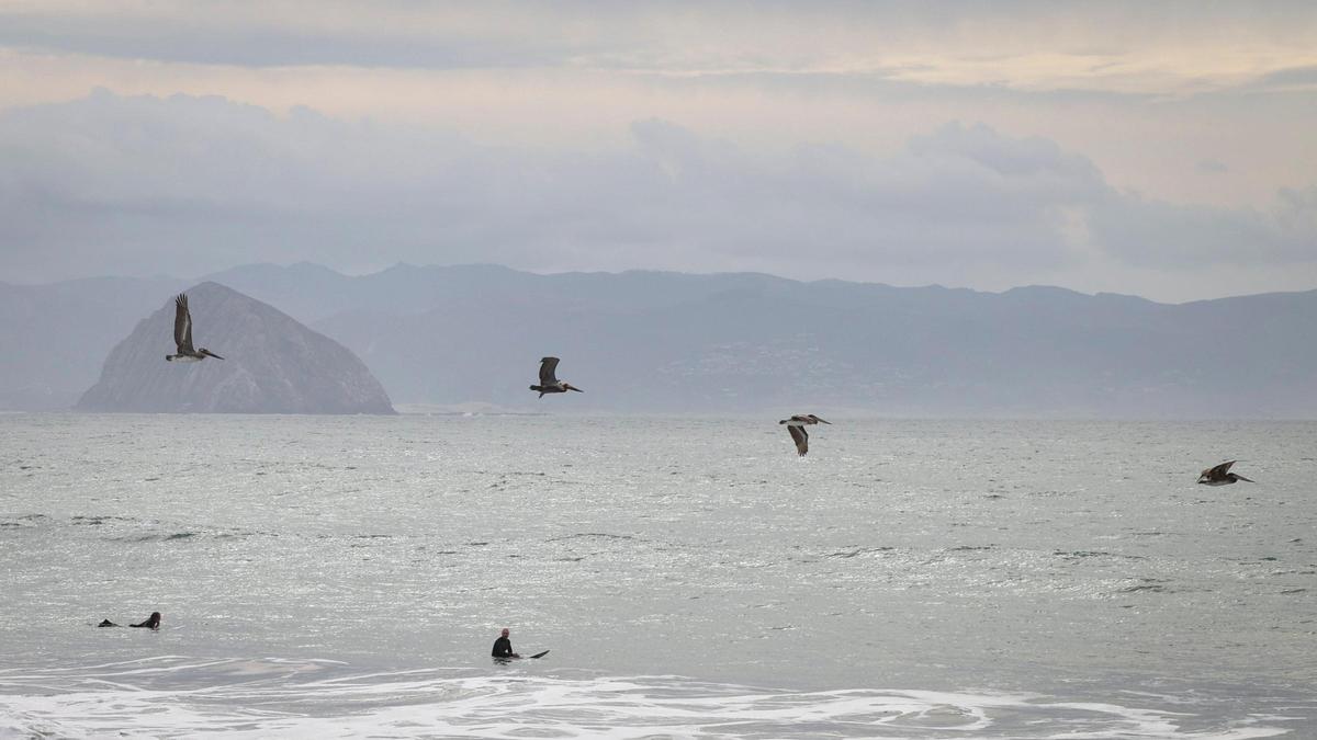 Surfers turned out to enjoy the waves at Cayucos as a storm builds in Dec. 27, 2023.