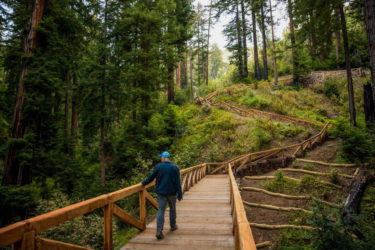 The Pfeiffer Falls Trail in California’s Pfeiffer Big Sur State Park will reopen on June 18, 2021.