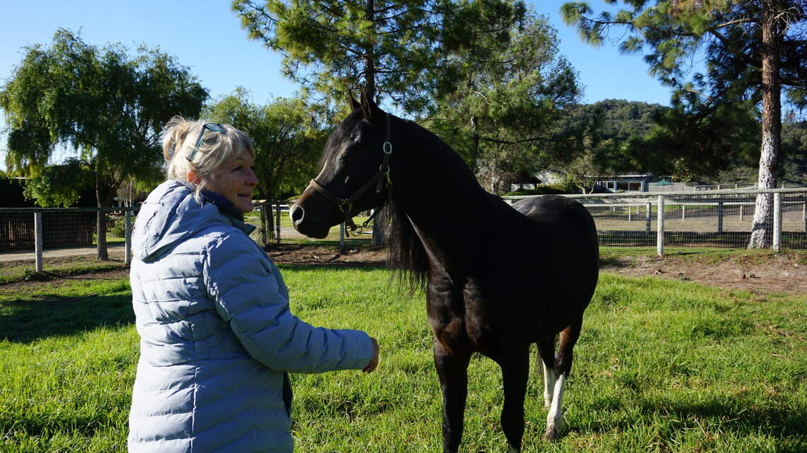 This iconic SLO County horse ranch is up for sale for first time in its 60-year history
