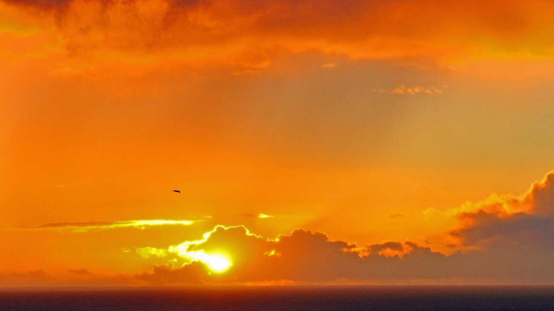 Summer is almost here. What kind of weather can SLO County expect?